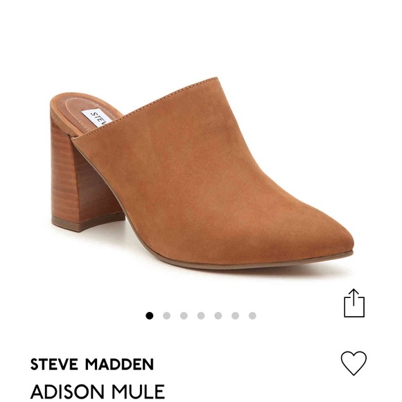 steve madden addison mule
